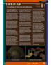 Pixel Addict Magazine Issue 35